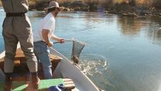 gal/Fishing 1/_thb_Large0001.jpg